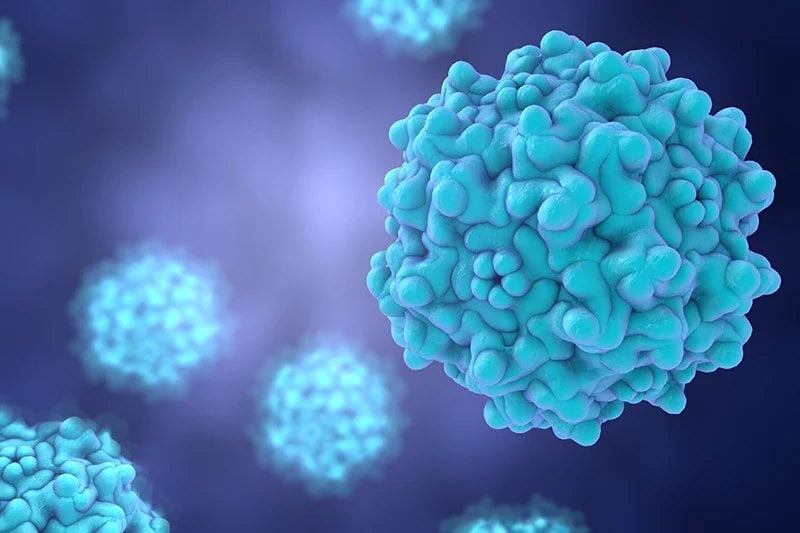 Enhancing Bioprocess Performance: Best Practices for Viral Vector Manufacturing